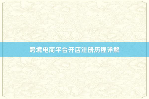 跨境电商平台开店注册历程详解