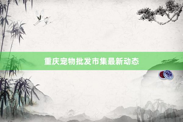 重庆宠物批发市集最新动态
